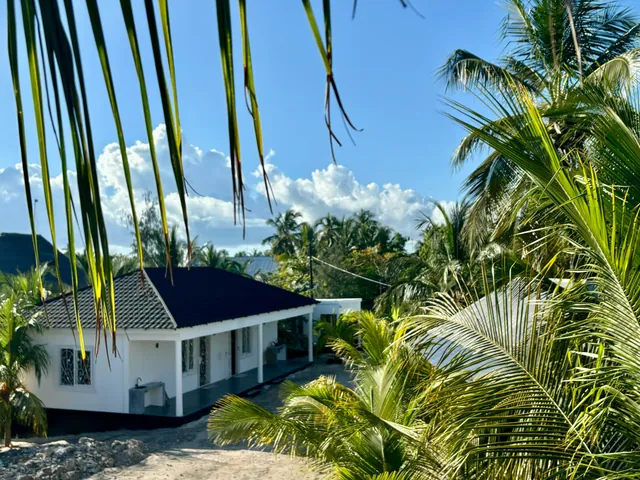 Doppelbungalow von außen, umrahmt von Palmwedeln